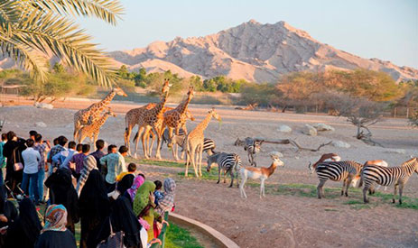 Al Ain Zoo